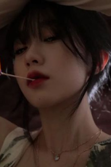 苏家有女重长成 小说